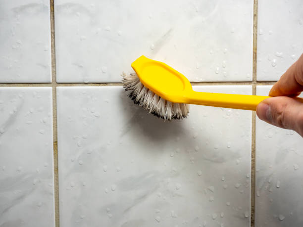 Best Fast Mold Removal  in Shorewood Forest, IN
